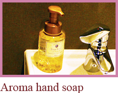 Aroma hand soap